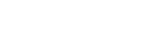 様々な犬種の施術が可能な安心サロンDog Salon Rays