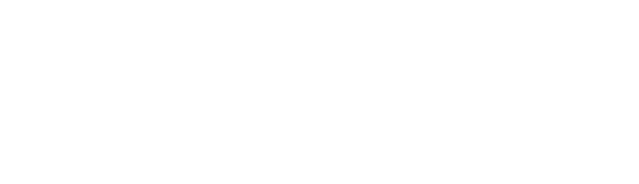 様々な犬種の施術が可能な安心サロンDog Salon Rays